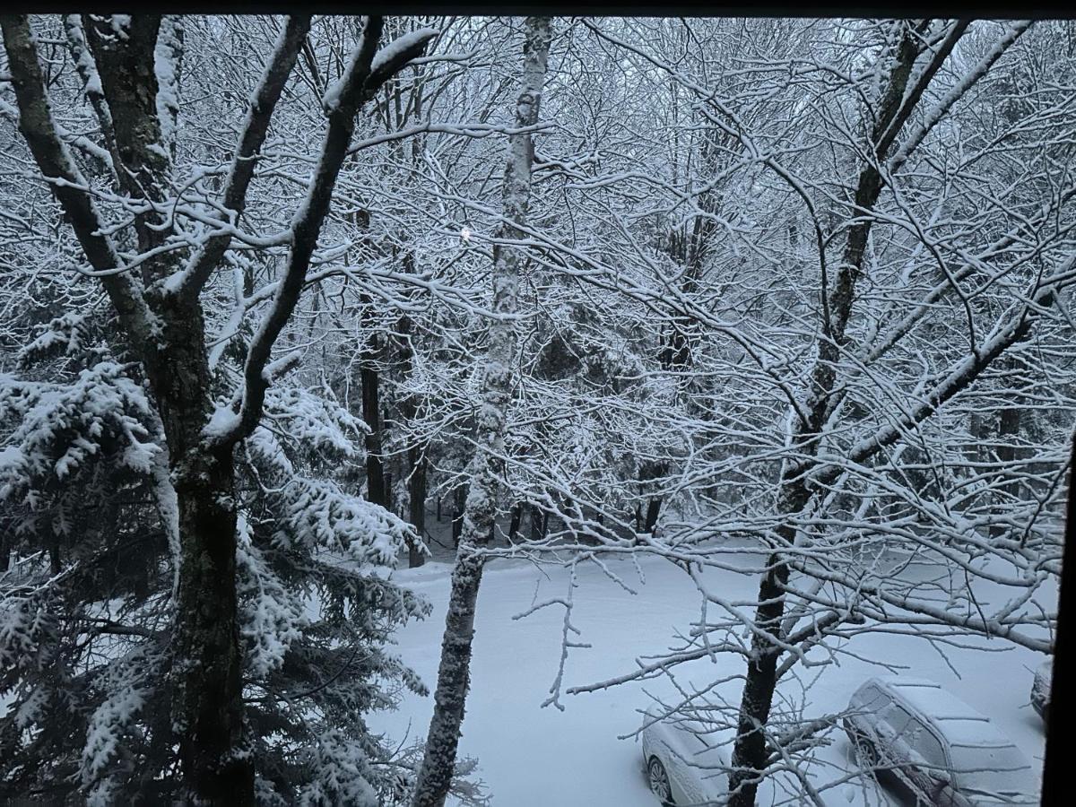 Vermont Getaway! Newly Renovated! Stratton Valley ภายนอก รูปภาพ